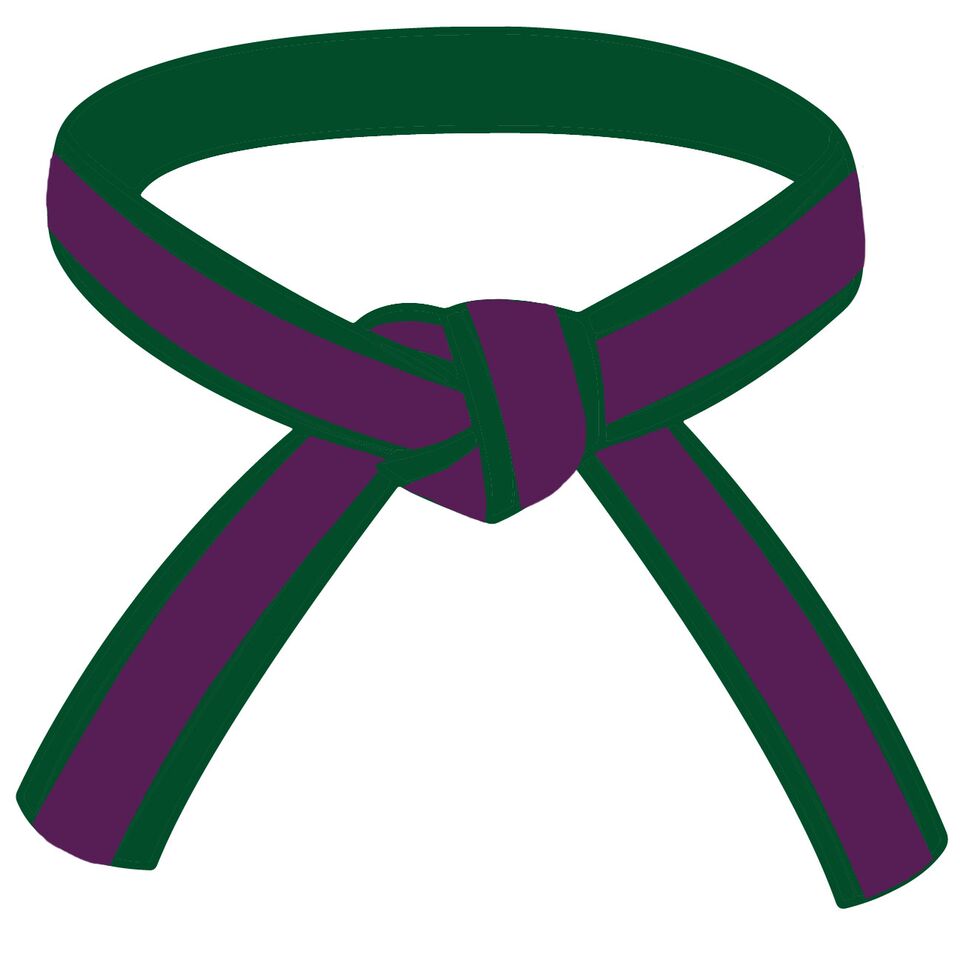 Purple Stripe Belt